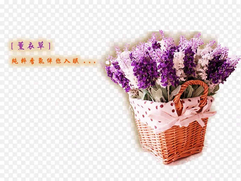 ޹�²ݻ�������ز�-������