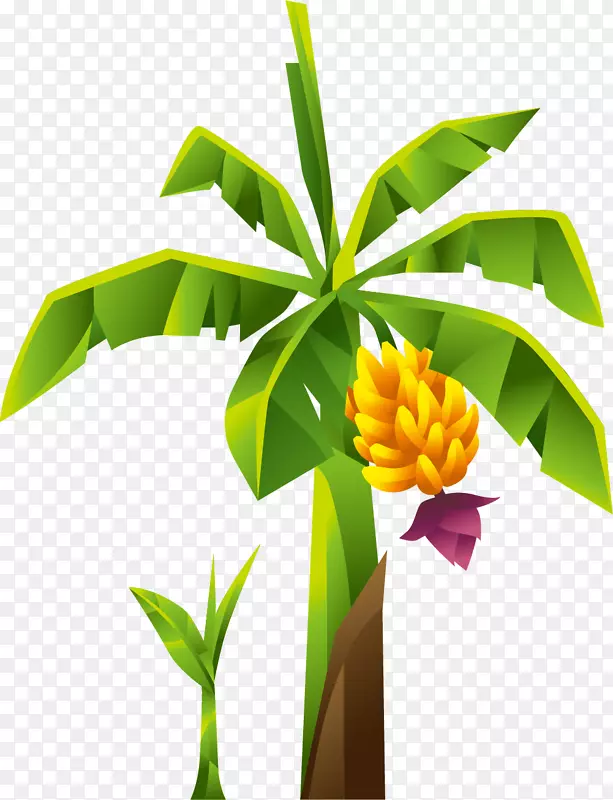 ����ɫ�������㽶��-������