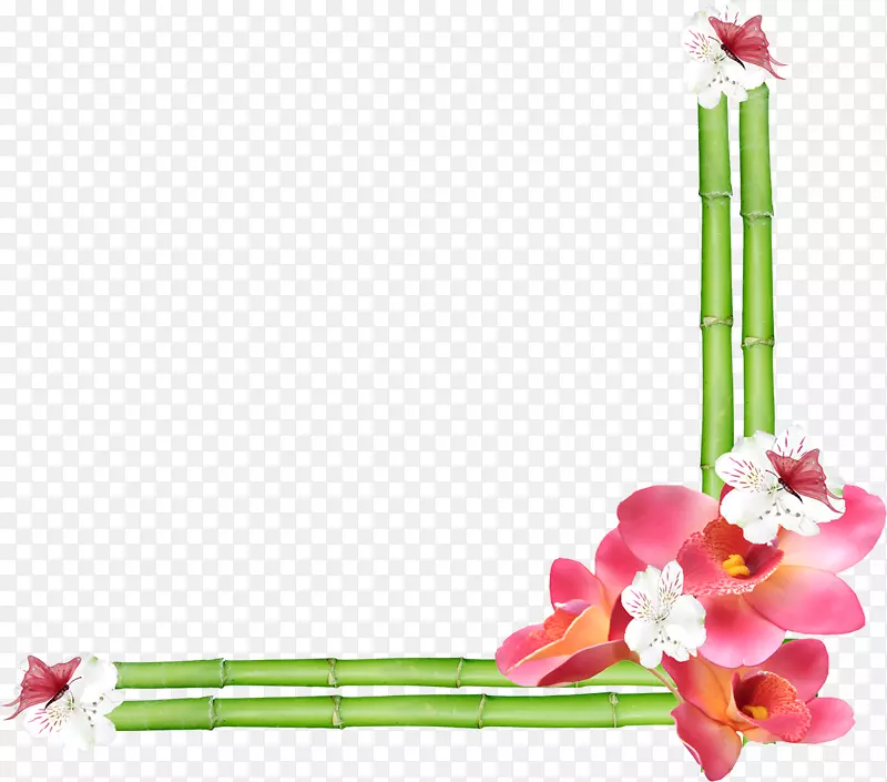 �л����ͼ-���뻨-������