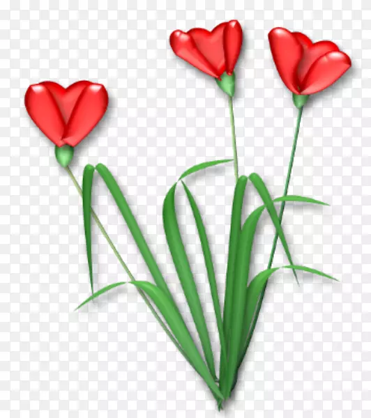 ����ֲ���л�������Ǿޱ���Ļ�-������