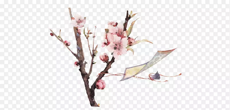 �ֻ��й���ˮī÷��ˮ�ʻ��ز�-������