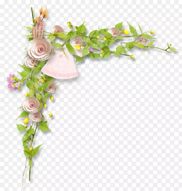 ��̳-������