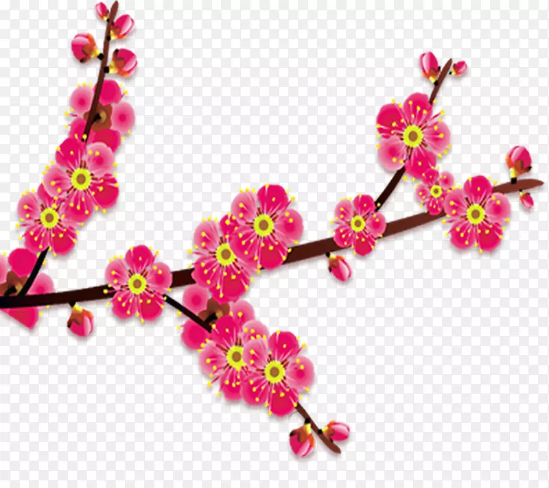 ��ɫ�й���÷������-������