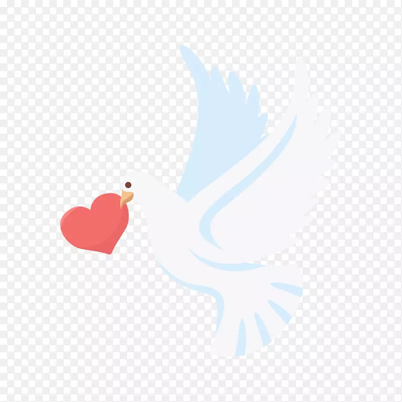 ��ͨ�ɰ�С����װ�ζ���ͷ�����-������