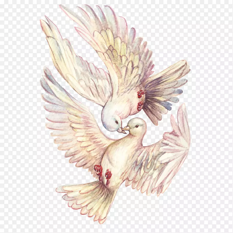 ��ͨ�ɰ�С����װ�ζ���ͷ��-������