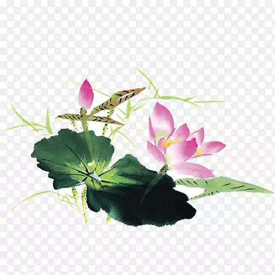 ˮ�ʻ�����-������