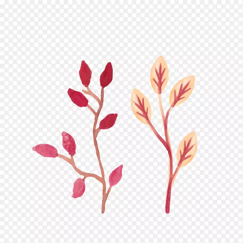 ˮ�ʻ��ɫ��֦ʸ��ͼ-������