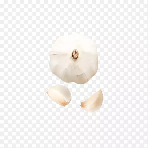 ��ɫ�������ʳ��Ԫ��-������