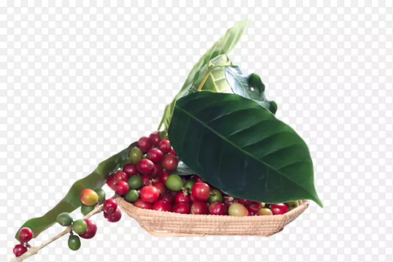 װ�����ӵĿ��ȹ�ʵ��-������