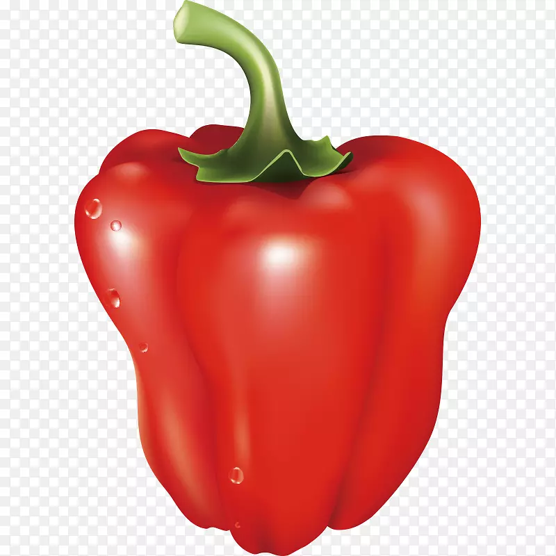 �߲� ���� ˮ�� ��ʳ-������