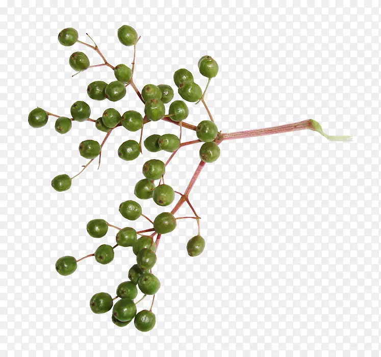 ����װ���ز�-������