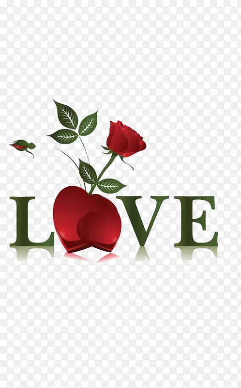 ���˽�-������