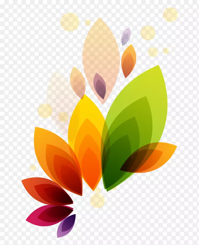 ��ʽ���ֲ�ﺣ�������ز�-������