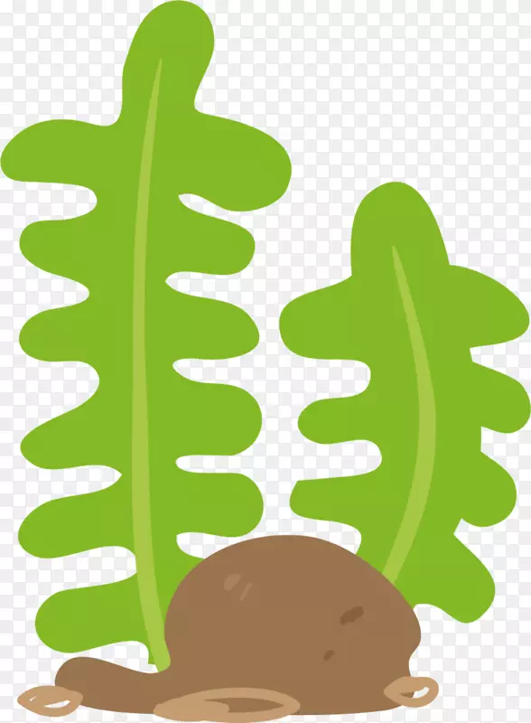 ����ֲ����ɫ����-������