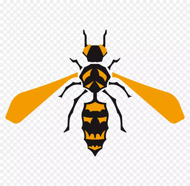 ��ͨ�ɰ�С����װ�ζ���ͷ��-������