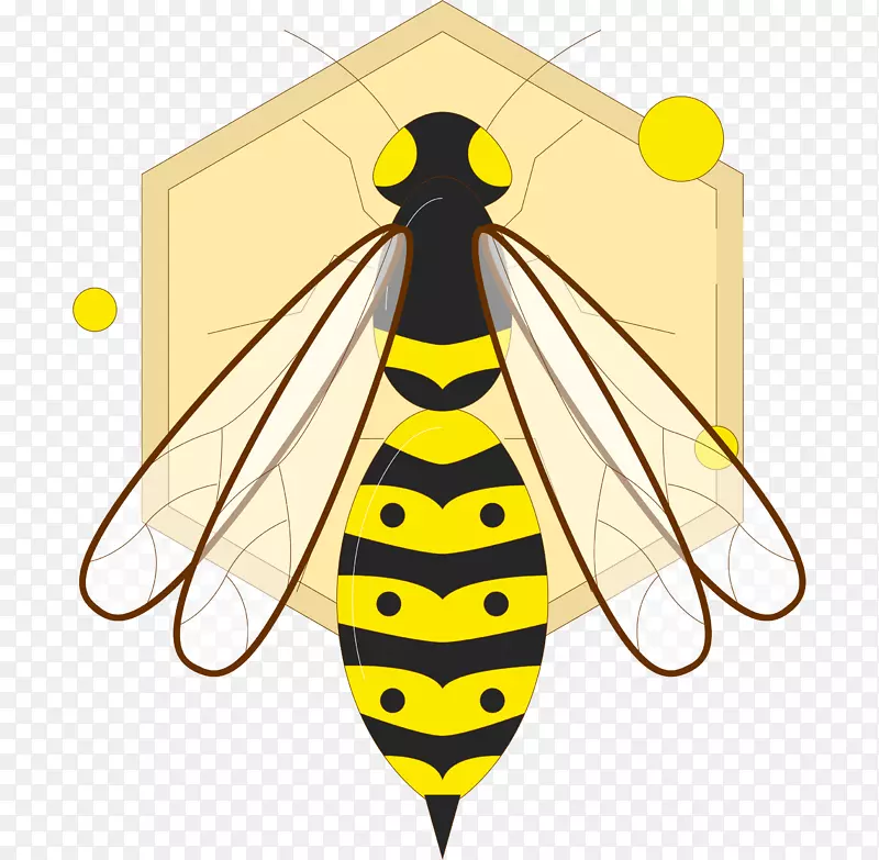 ��ͨ�ɰ�С����װ�ζ���ͷ��-������