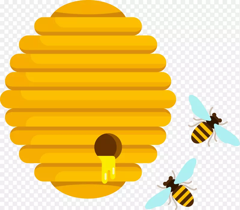 ��ͨ�ɰ�С����װ�ζ���ͷ��-������