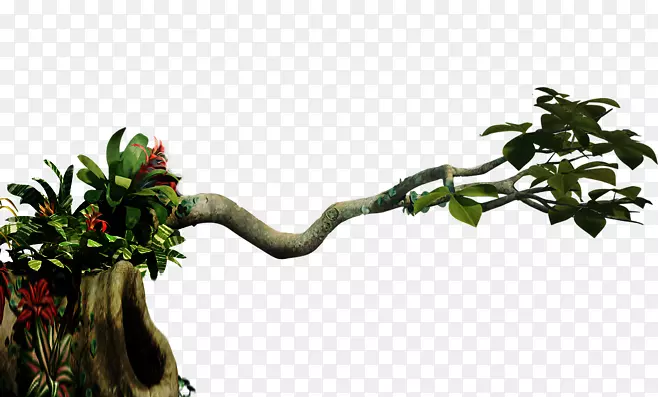 ����֦-������