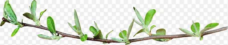 ����-������