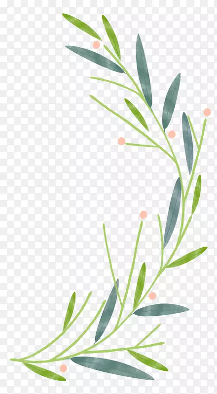 ��Ҷ��֦-������