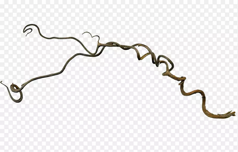 ��֦-������