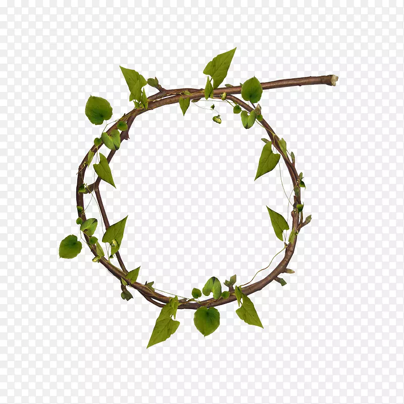 �������ٻ�-������