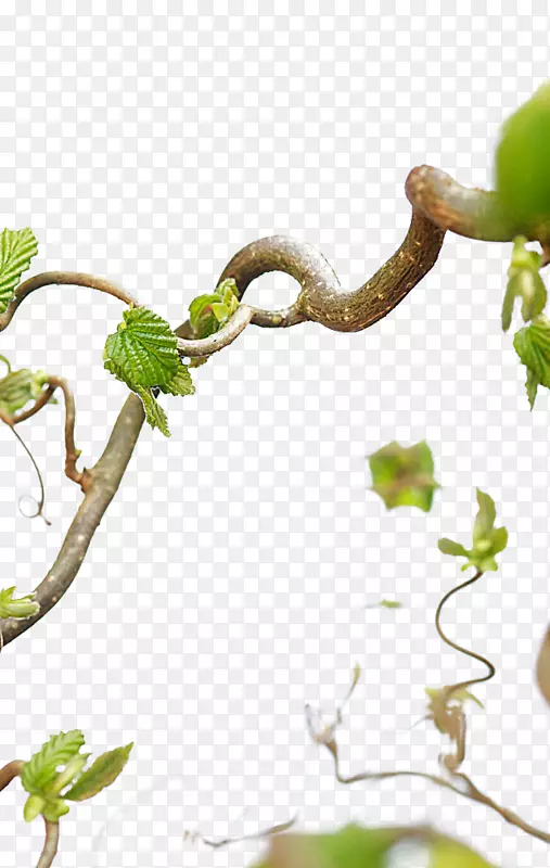 ����-������