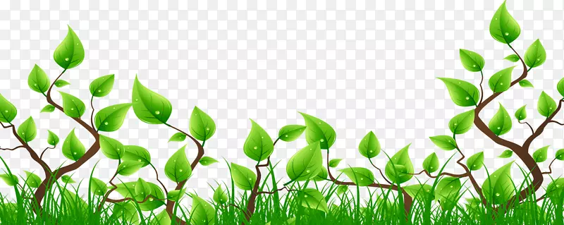 ��֦ С��-������