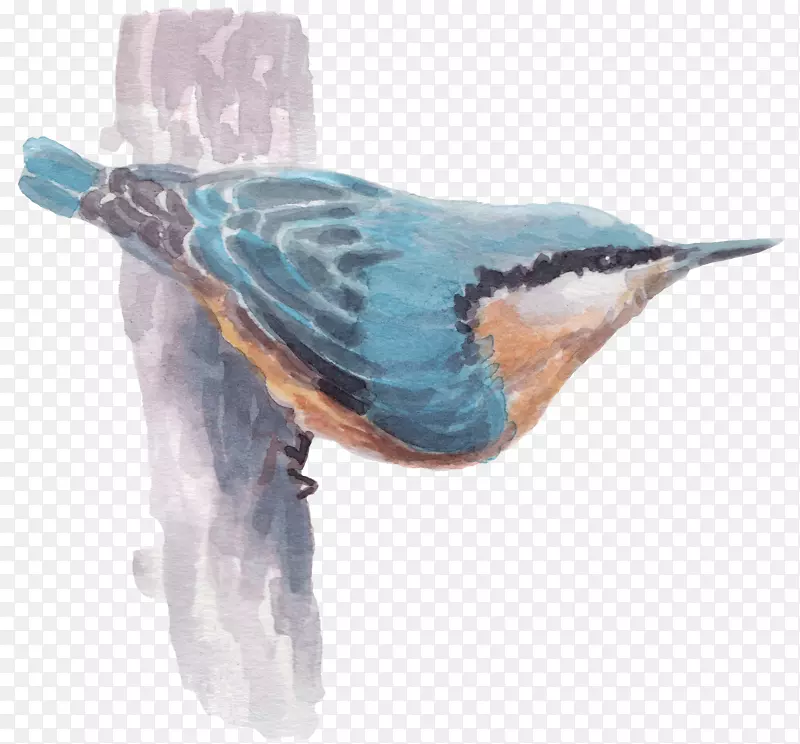 ��ͨ�ɰ�С����װ�ζ���ͷ��-������