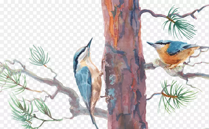 ��ͨ�ɰ�С����װ�ζ���ͷ��-������