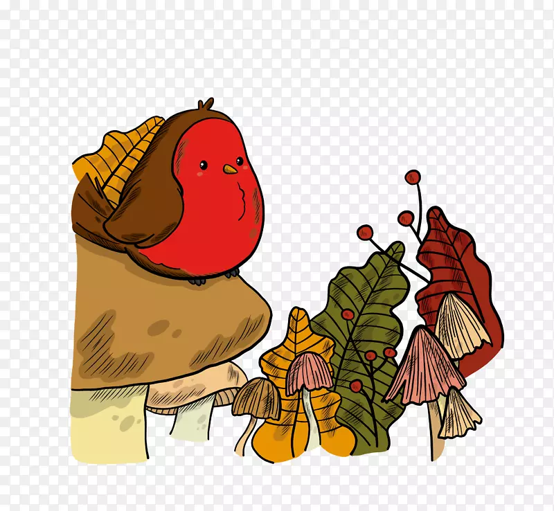 ��ͨ�ɰ�С����װ�ζ���ͷ��-������