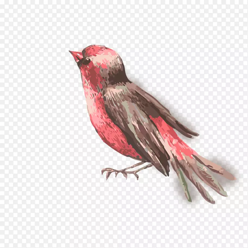 ��ͨ�ɰ�С����װ�ζ���ͷ��-������