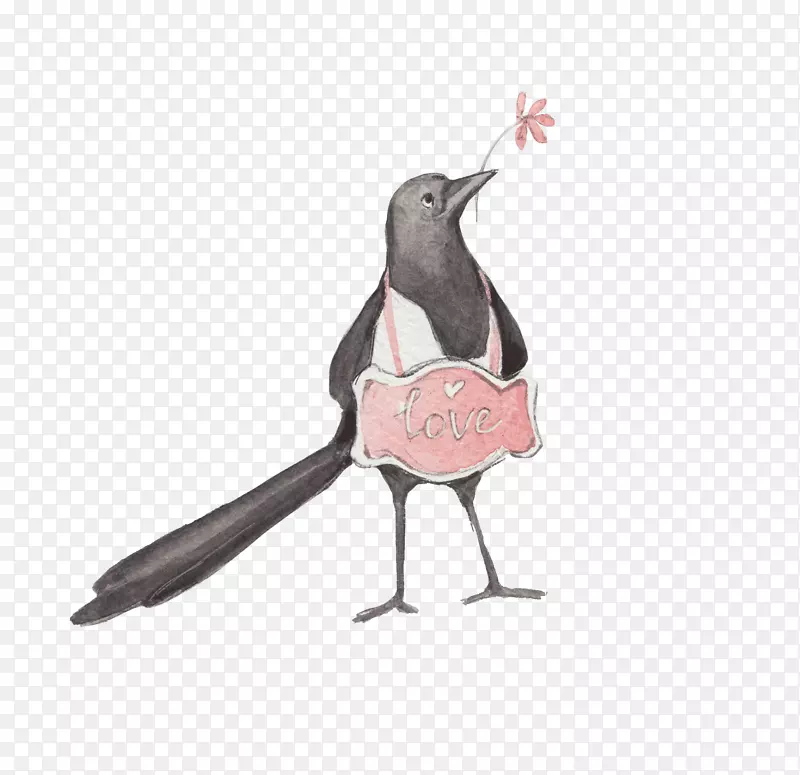 ��ͨ�ɰ�С����װ�ζ���ͷ��-������