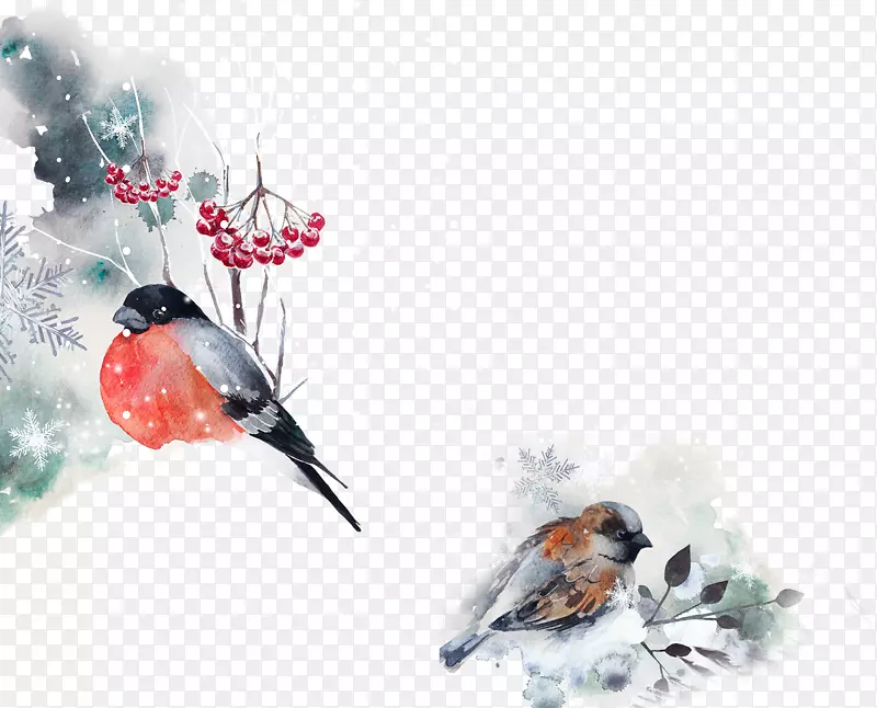 ��ͨ�ɰ�С����װ�ζ���ͷ��-������