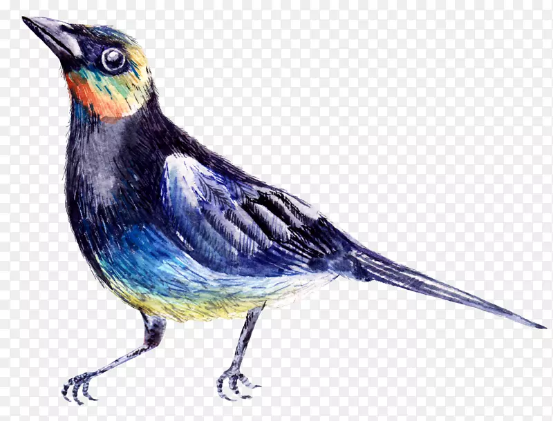 ��ͨ�ɰ�С����װ�ζ���ͷ��-������