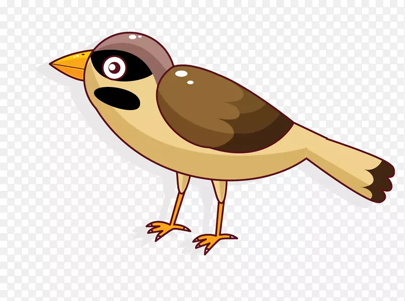 ��ͨ�ɰ�С����װ�ζ���ͷ��С��-������