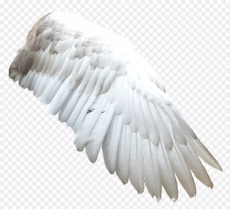 �ɰ�С����װ�κ���װ�γ��-������