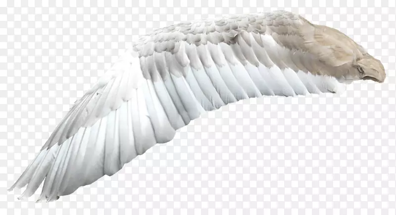 �ɰ�С����װ�κ���װ�γ��-������