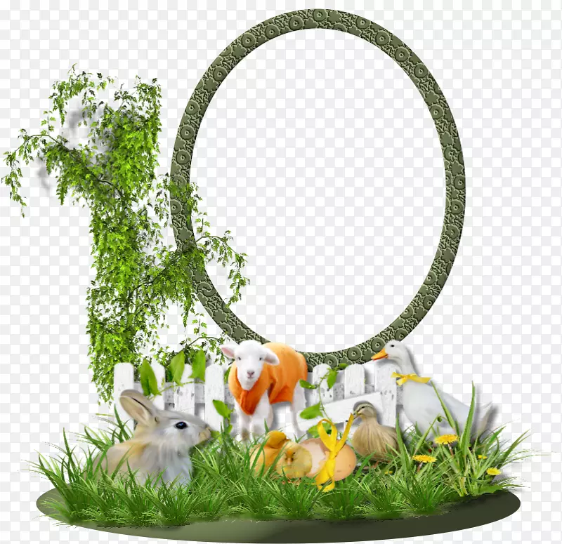 ����ڶ���-����ڻ���-������