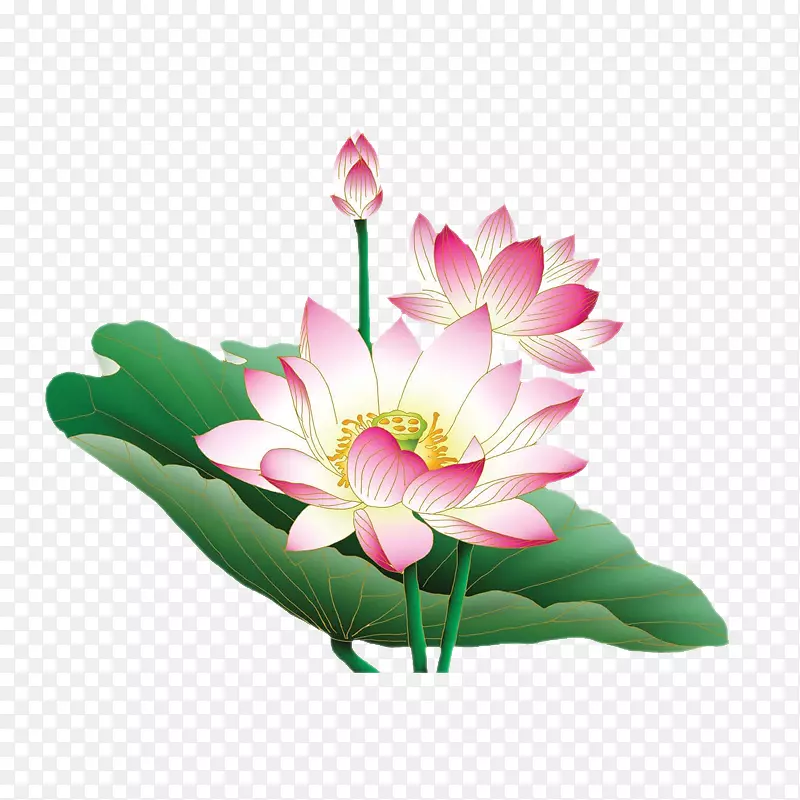 ˮ���ֻ��й���ɻ�-������