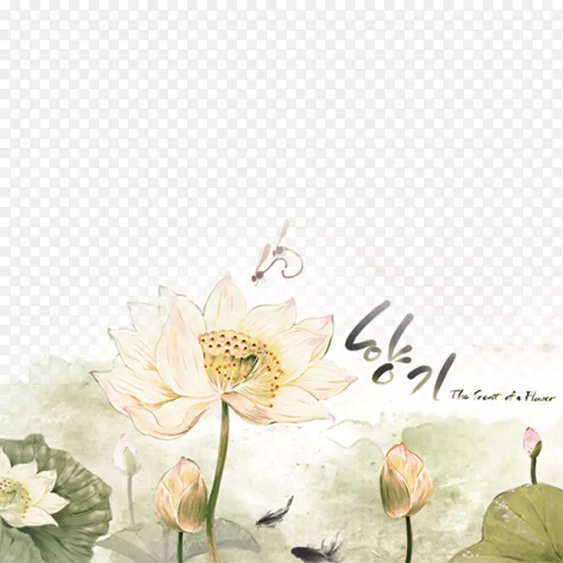 ��ɫ�ɻ�-������