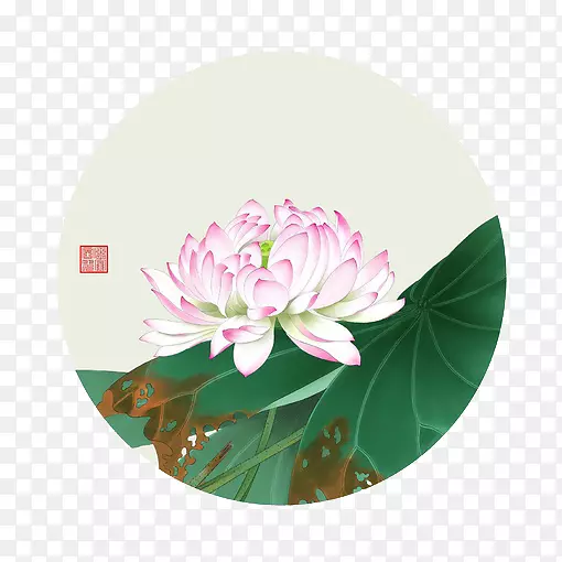 ��ɫ�ɻ�-������