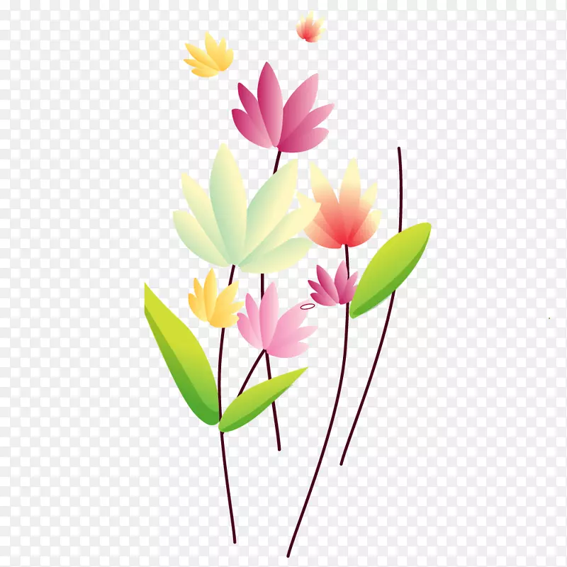 �򻭺ɻ�-������