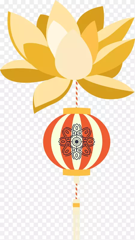 ���ڶ�ʵ�������-������