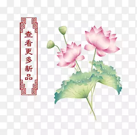 �鿴������Ʒ��ǩ-������