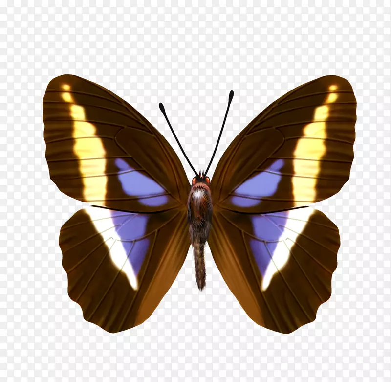 ����-������