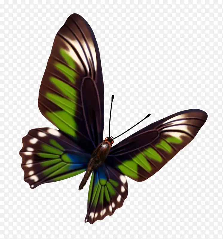 ����-������