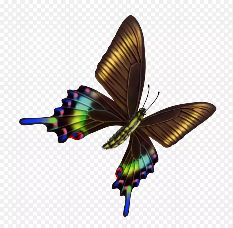 ����-������