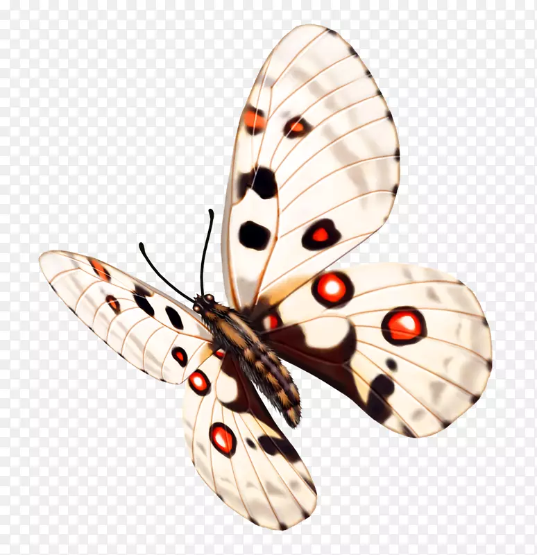 ����-������