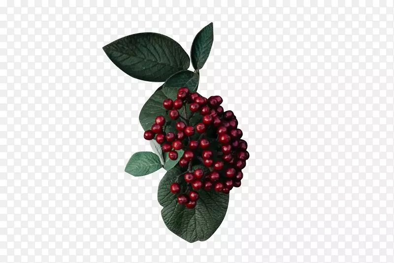 ������ɫ����С��С��-������